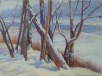 Moswetussett Snows